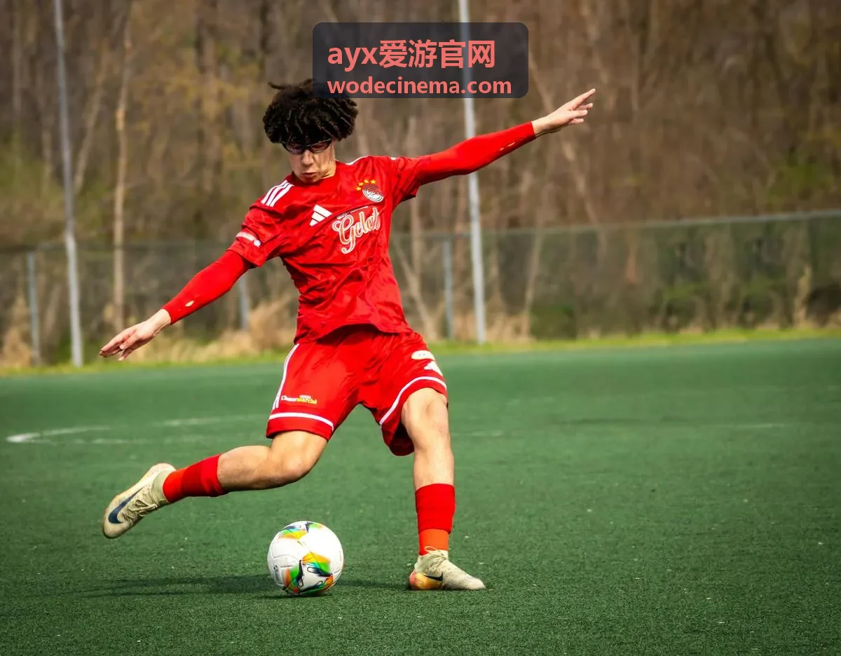 ayx爱游官网多日联游路线示意