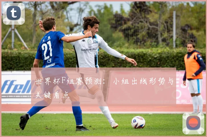 世界杯F组赛预测:小组出线形势与关键看点